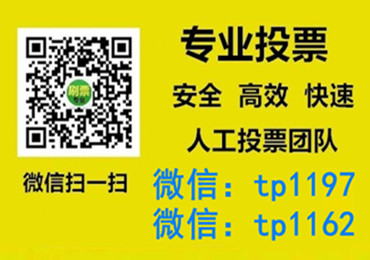 来宾市微信手动投票费多少钱让我告诉你微信投了多少